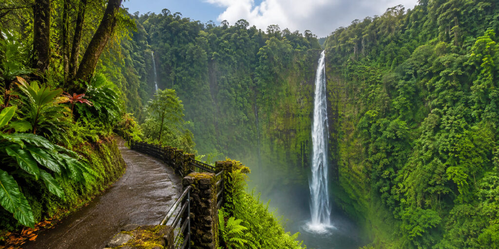 Akaka Falls rainforest waterfall Hawaii