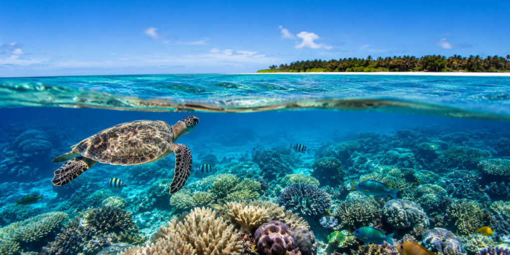 Great Barrier Reef